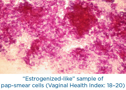 Emfemme_360_PIC_Ba-after-female-cells_EN100.02